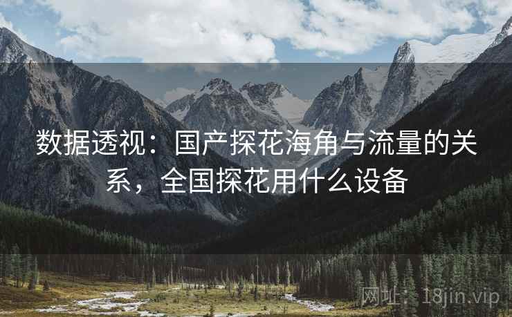 数据透视：国产探花海角与流量的关系，全国探花用什么设备  第1张