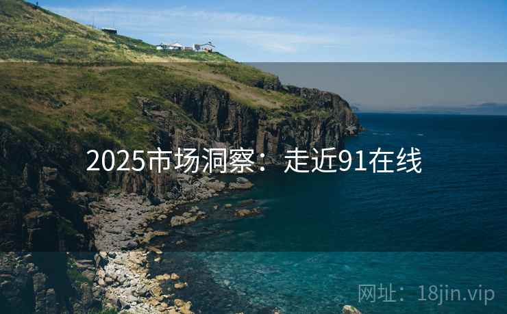 2025市场洞察:走近91在线 第1张 2025市场洞察:走近91在线 第1张