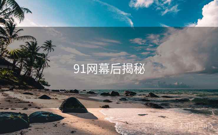 91网幕后揭秘 第1张 91网幕后揭秘 第1张