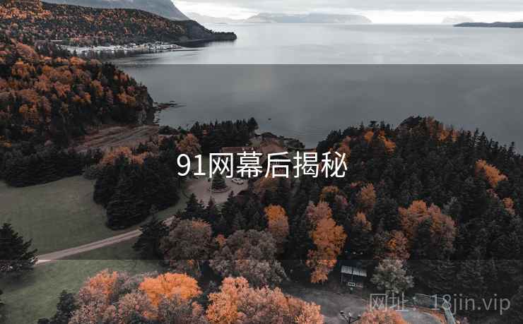 91网幕后揭秘 第2张 91网幕后揭秘 第2张