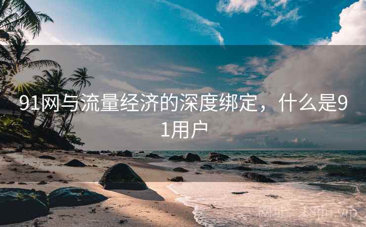 91网与流量经济的深度绑定，什么是91用户  第2张