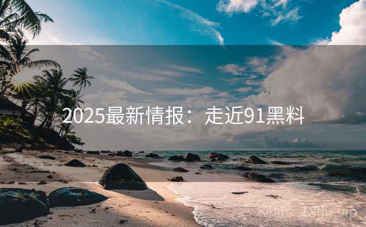 2025最新情报:走近91黑料 第1张 2025最新情报:走近91黑料 第1张